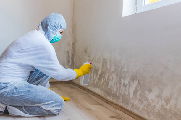 Licensed Mold Remediation service in Dunn, NC - 24 Hour Mold Removal