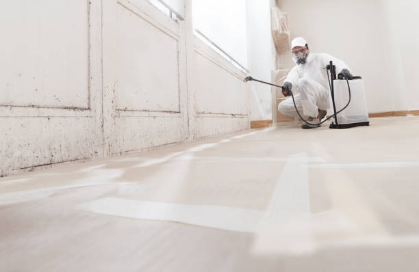 24/7 Emergency Mold Remediation experts in Dunn, NC