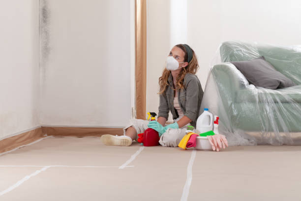 Reliable Mold Remediation contractor in Dunn, NC by 24 Hour Mold Removal