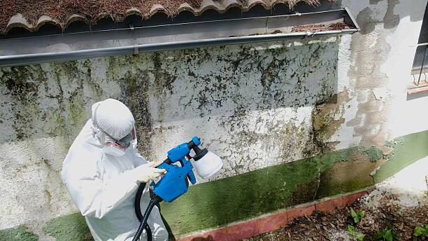 Top rated local Mold Remediation specialists in Dunn, NC